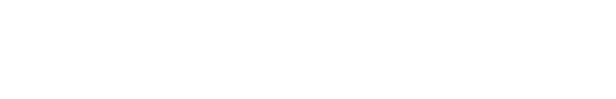 O'brien & Sarmiento - Visa Consulting